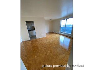 Image ViT 240834