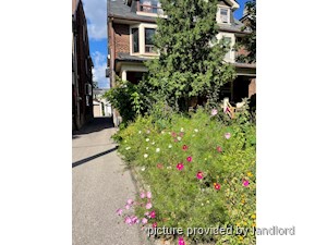 Image ViT 240836