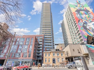 Image ViT 240846