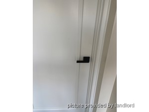 Image ViT 240870