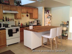 Image ViT 240875