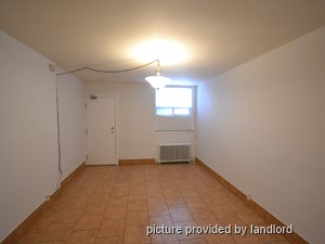 Image ViT 240882