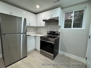 Image ViT 240895