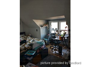 Image ViT 240912