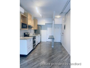 Image ViT 240928
