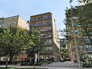 Image ViT 240978