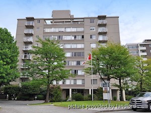 Image ViT 241056