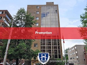 Image ViT 241059