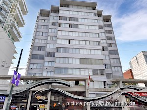Image ViT 241074