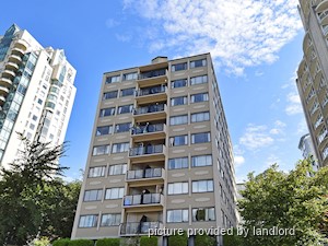 Image ViT 241076