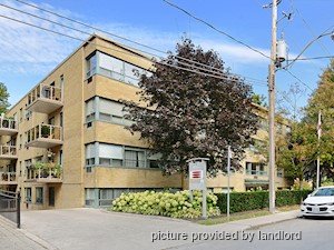 Image ViT 241083