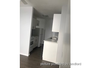 Image ViT 241087