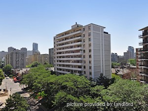 Image ViT 241131