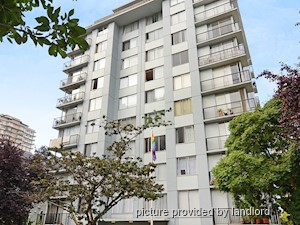 Image ViT 241144