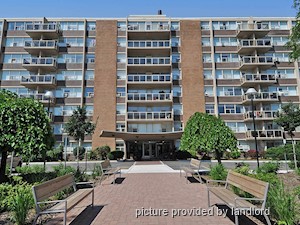 Image ViT 241152