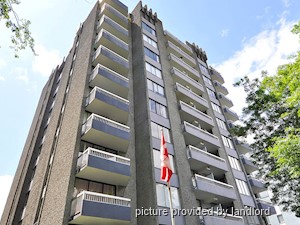 Image ViT 241163