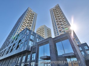 Image ViT 241255