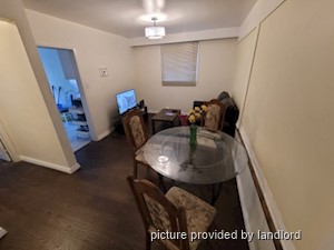 Image ViT 241278