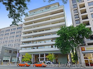 Image ViT 241283