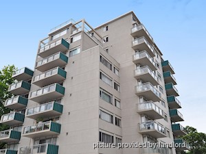 Image ViT 241295