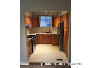 Image ViT 241306