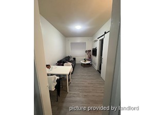 Image ViT 241341