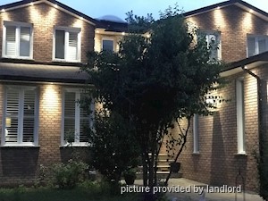 Image ViT 241343