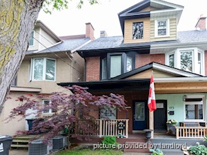 Image ViT 241346