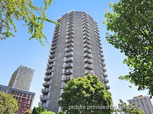 Image ViT 241349