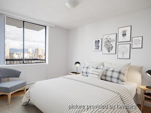 Image ViT 241352