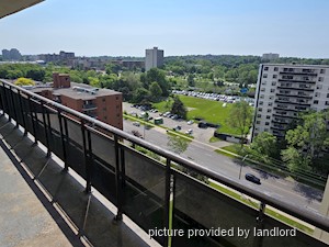 Image ViT 241362