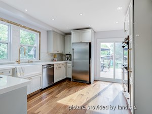 Image ViT 241366
