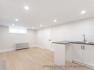 Image ViT 241381