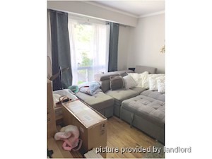 Image ViT 241383
