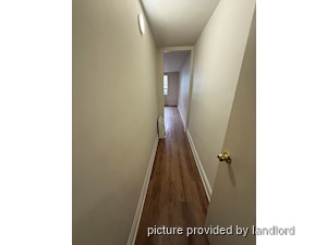 Image ViT 241385