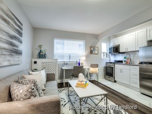 Image ViT 241388