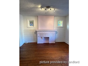Image ViT 241395