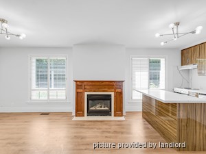 Image ViT 241396
