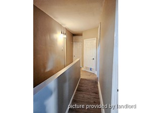 Image ViT 241407