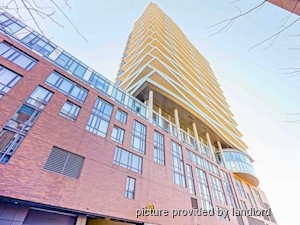 Image ViT 241427