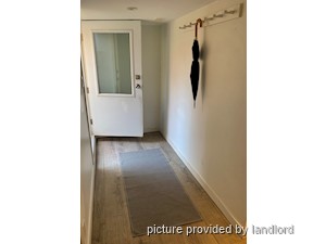 Image ViT 241438