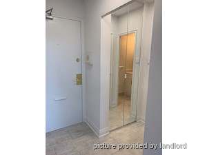 Image ViT 241459
