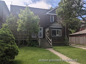 Image ViT 241462
