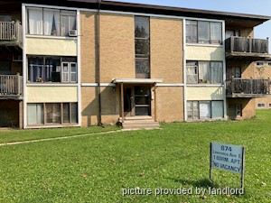 Image ViT 241471