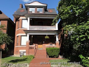 Image ViT 241484