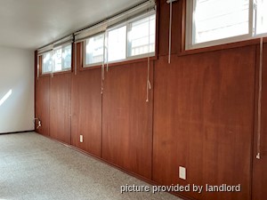 Image ViT 241485