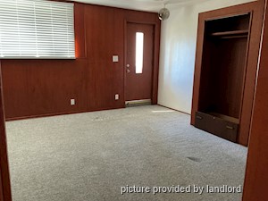 Image ViT 241485