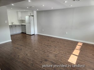 Image ViT 241491