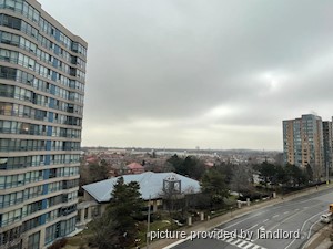 Image ViT 241510