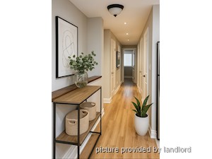 Image ViT 241513